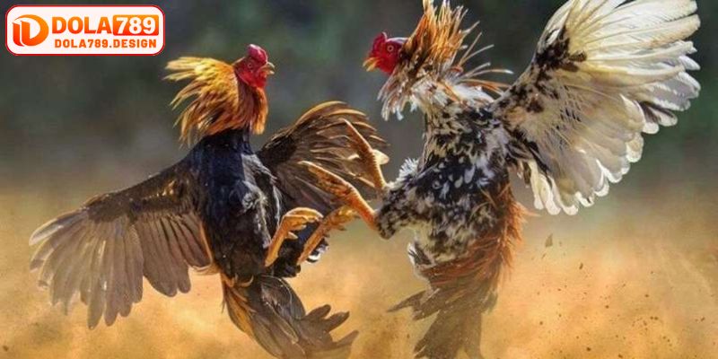 Có những loại màu mạng và tương khắc khá đa dạng 