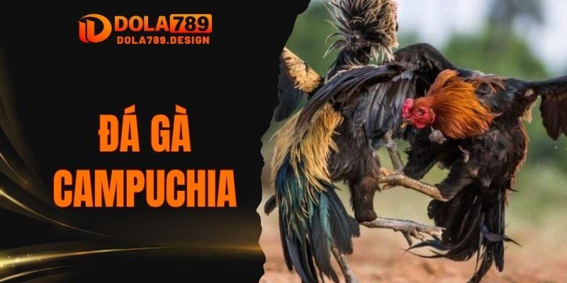 Đá gà Campuchia