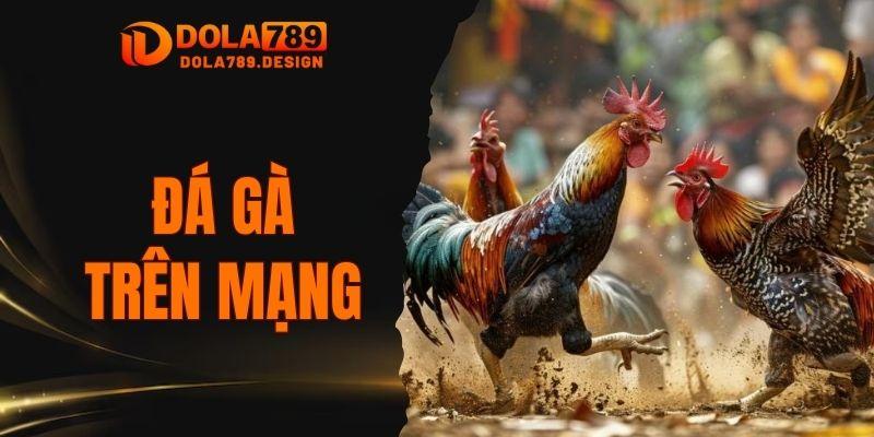 đá gà trên mạng