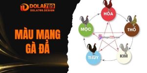 màu mạng gà đá