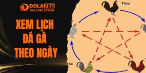 xem lịch đá gà theo ngày