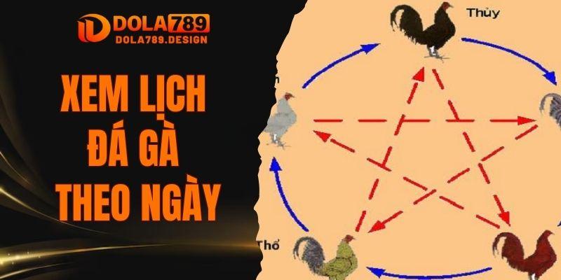 xem lịch đá gà theo ngày