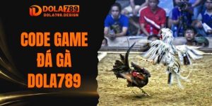 code game đá gà Dola789